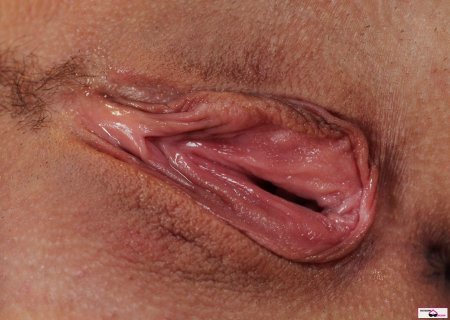 Актриса для взрослых