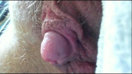 Большие клиторы крупным планом