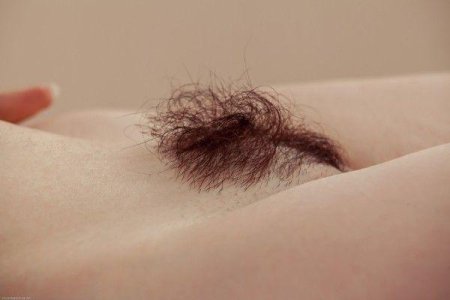 Маленькие волосики на лобке