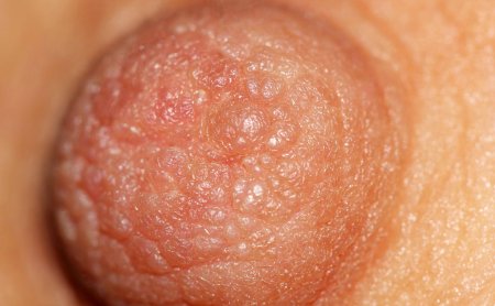 Женские соски крупным планом