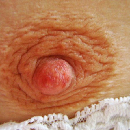 Женские соски крупным планом