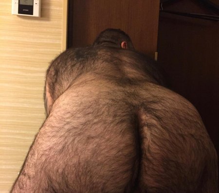 Волосатая спина