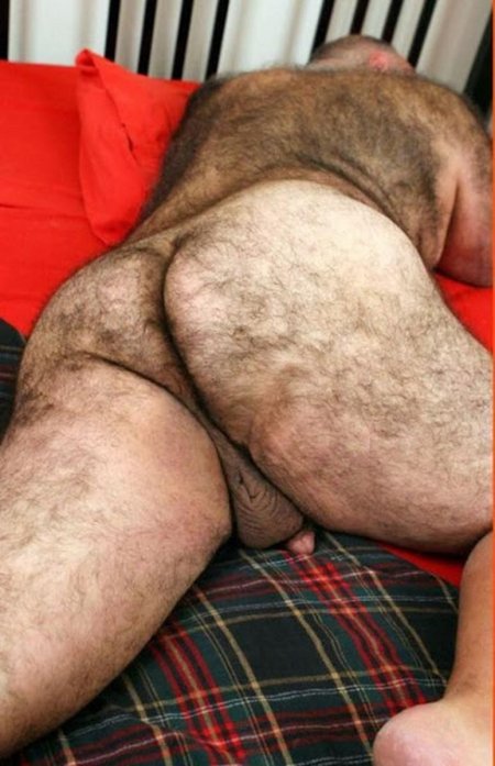 Толстые волосатые члены