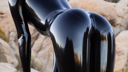 Латексная жопа