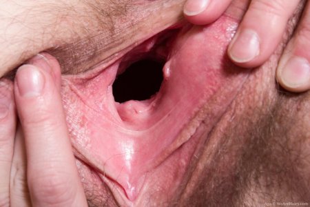 Влагалище изнутри