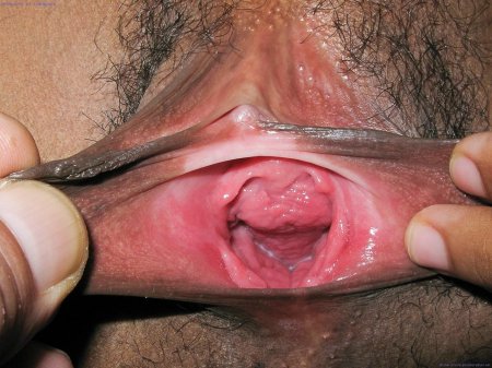 Женская вагина