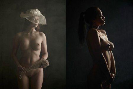 Художественная эротика