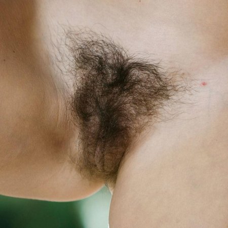 Красивый волосатый лобок