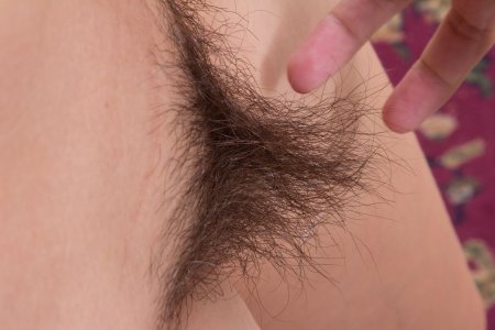 Подростковые волосы на лобке