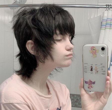 Вольф маллет стрижка корейская