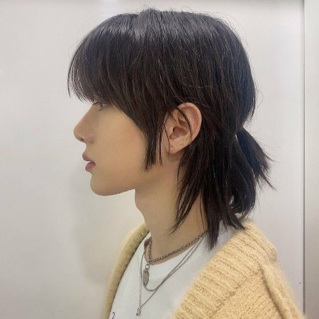 Вольф маллет стрижка корейская