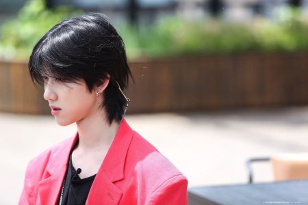 Маллет Томбой Корея