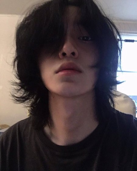 Вольф маллет стрижка корейская