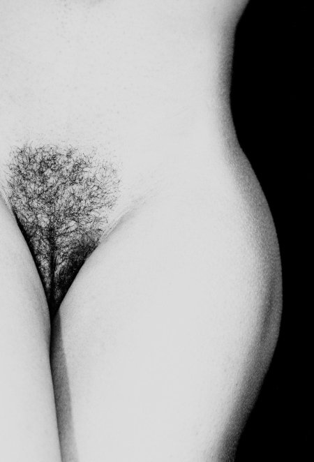 Лобковые волосы