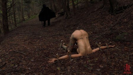 Ведьма в лесу