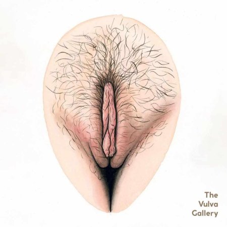 Женская вагина княгиня