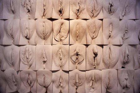 Разновидности вагин