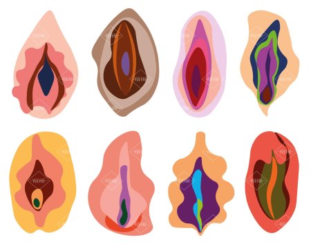 Формы вагин