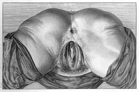 Женская промежность годов