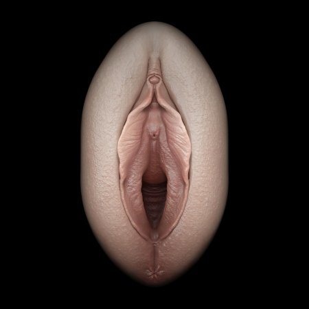 Женская вагина