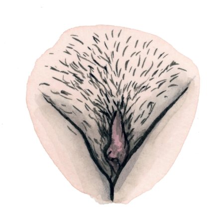 Искусственные лобковые волосы