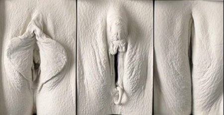 Слепки вагин джейми маккартни