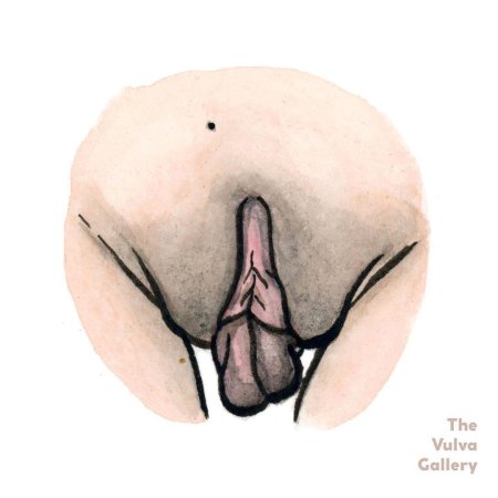 Вагина рисунок