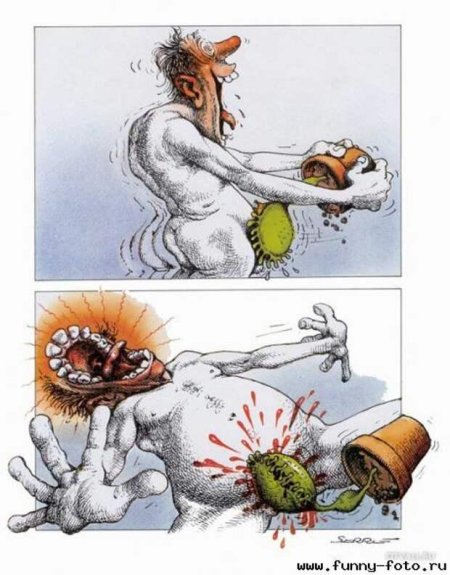 Прикольные эротические рисунки