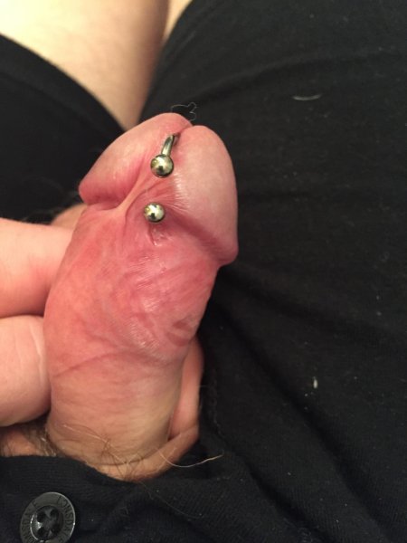 Пирсинг принц альберт порно