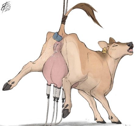 Hucows katarina доильный аппарат