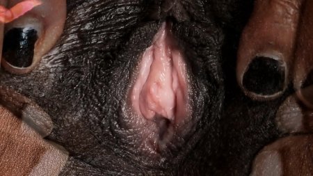 Вагина собаки открытая