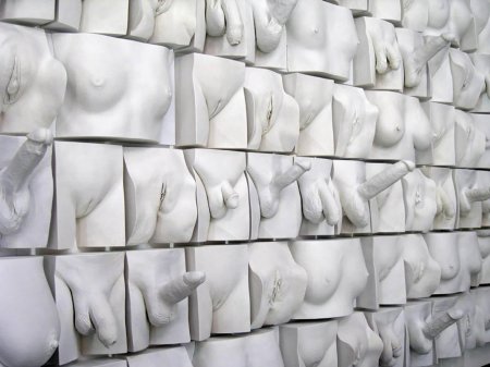 Стена вагин джейми маккартни