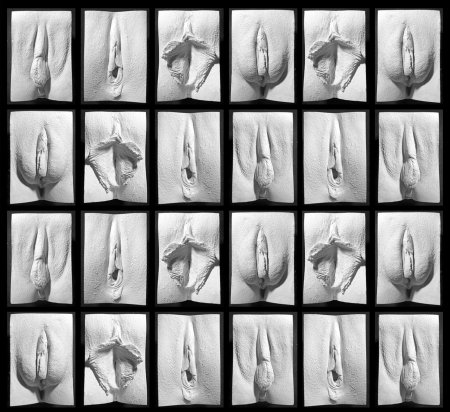 Джейми маккартни великая стена вагин