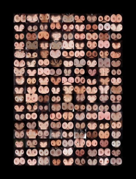 Стена вульв джейми маккартни