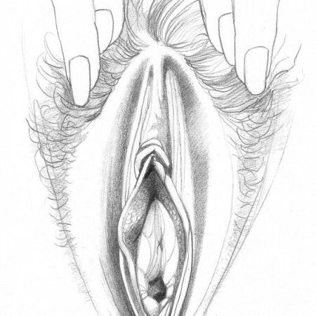 Анатомия женского влагалища