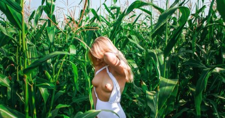 Голые девки в кукурузном поле
