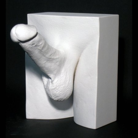 Гипсовые слепки гениталий