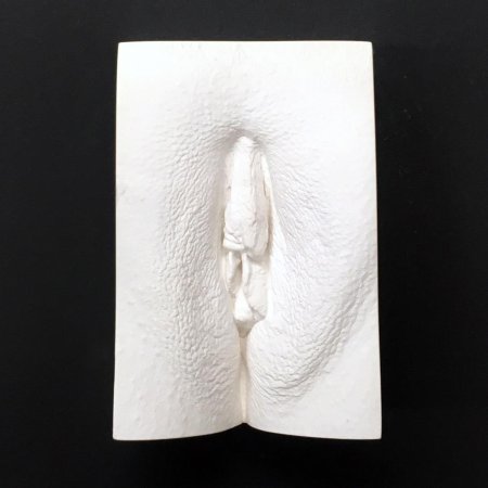 Гипсовый слепок влагалища