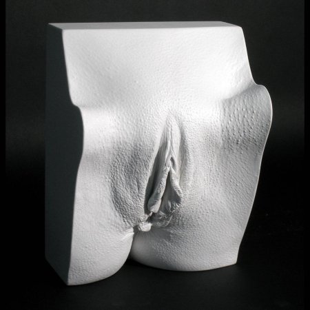 Гипсовый слепок влагалища