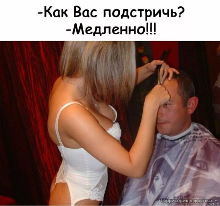 Шутки про парикмахеров