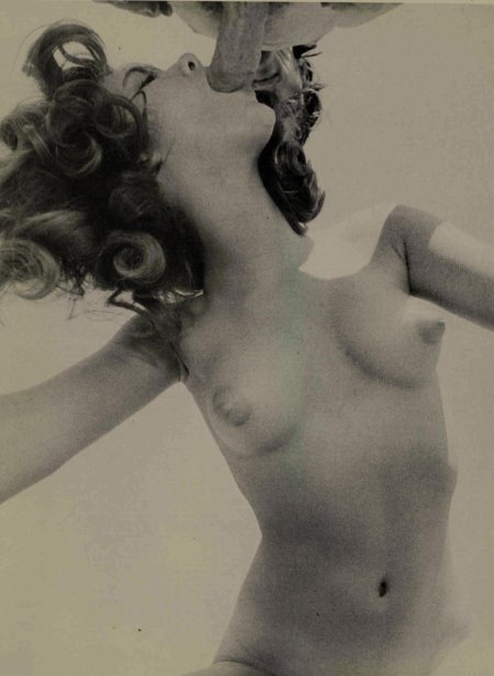 Порнографический артхаус