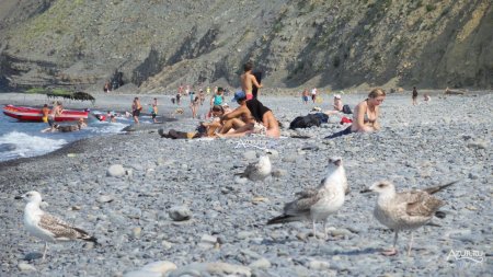 Утриш дикий пляж