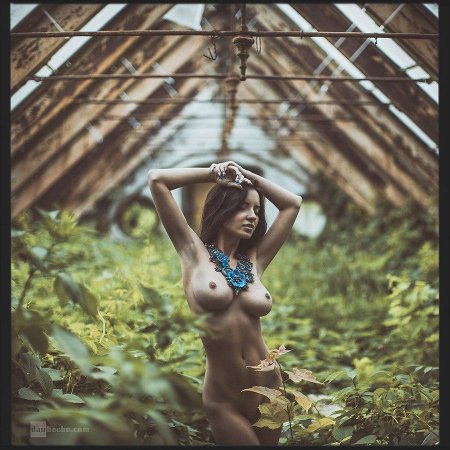 Ню на природе