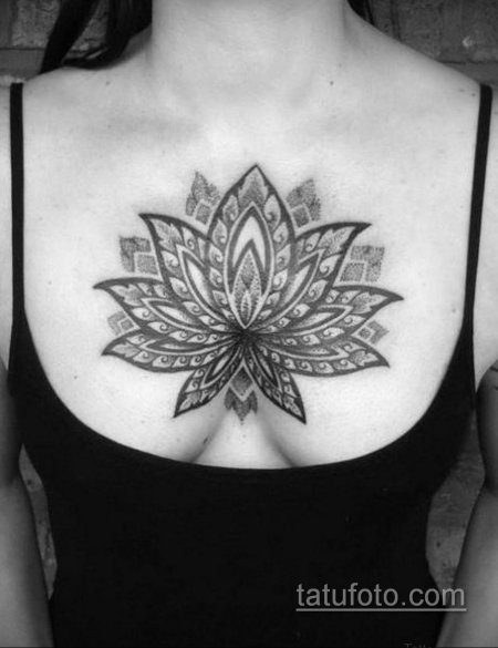 Лотос дотворк