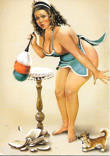 Пин ап домохозяйка