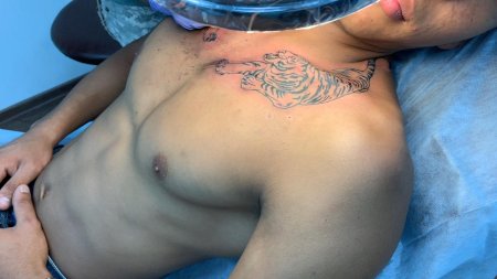 Тату на ключице мужские тигр