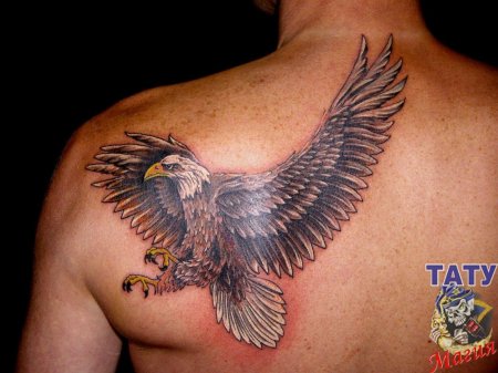 Тату орел на лопатке мужские