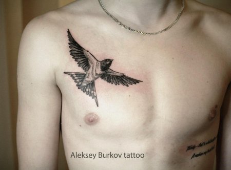 Тату ласточек
