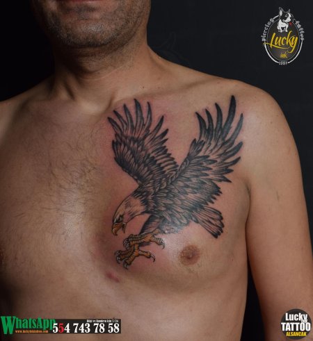 Орел тату на груди