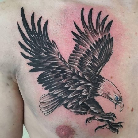 Тату орел
